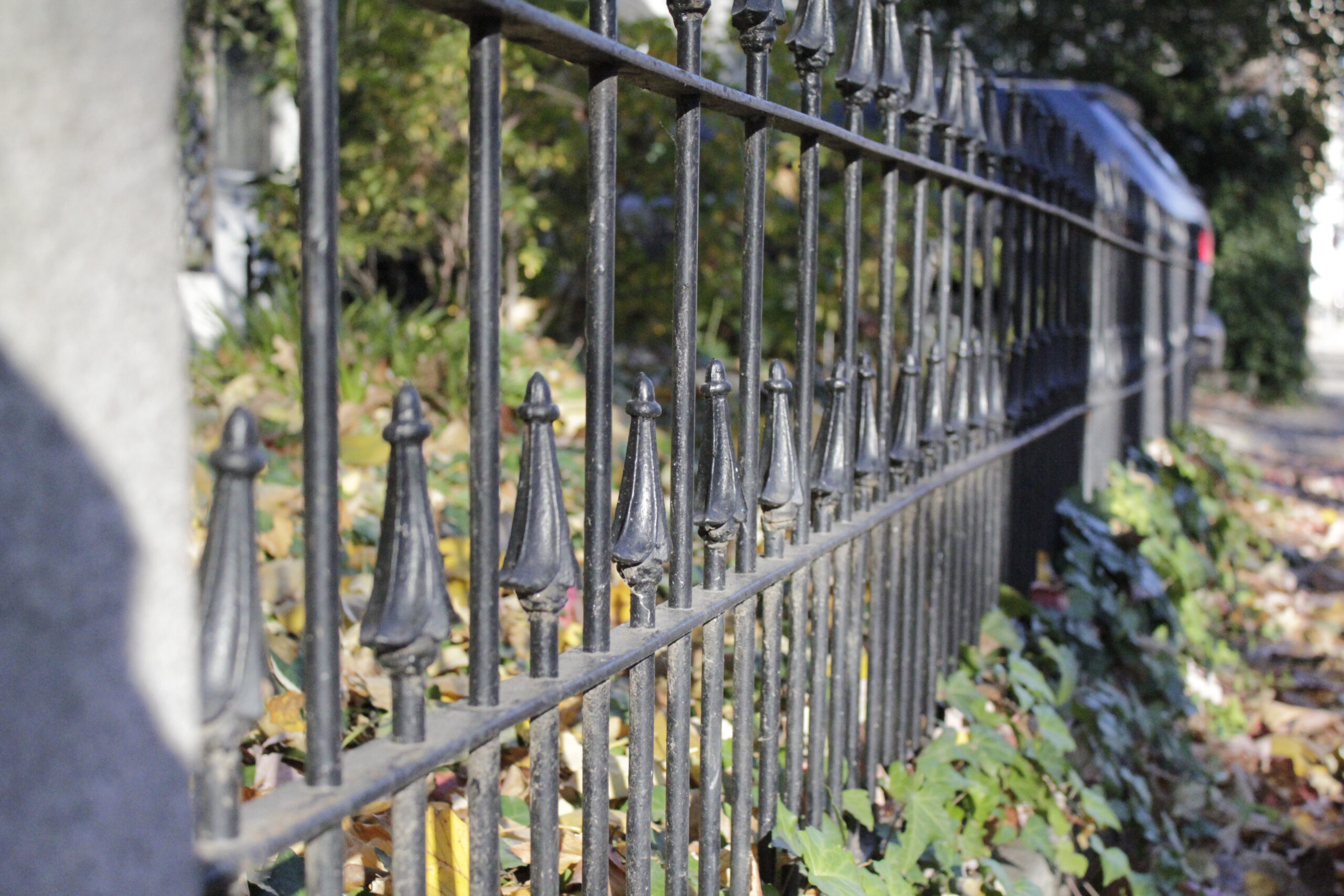 iron-fences