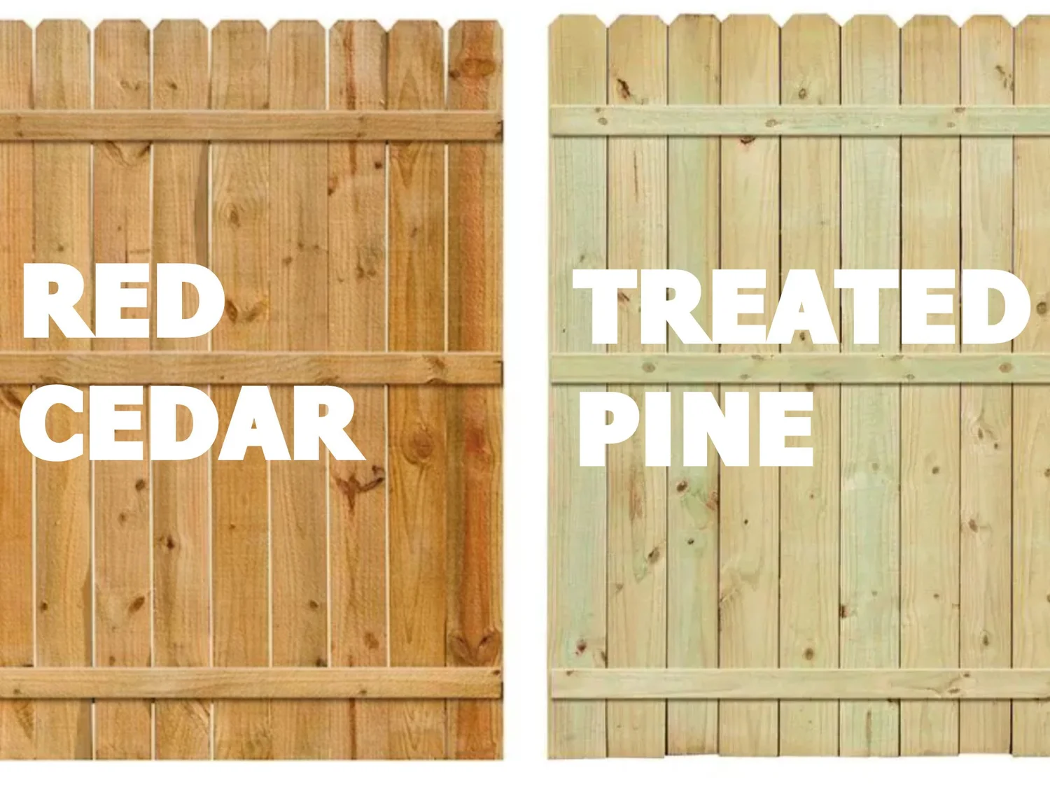 cedar vs pressure treated wood